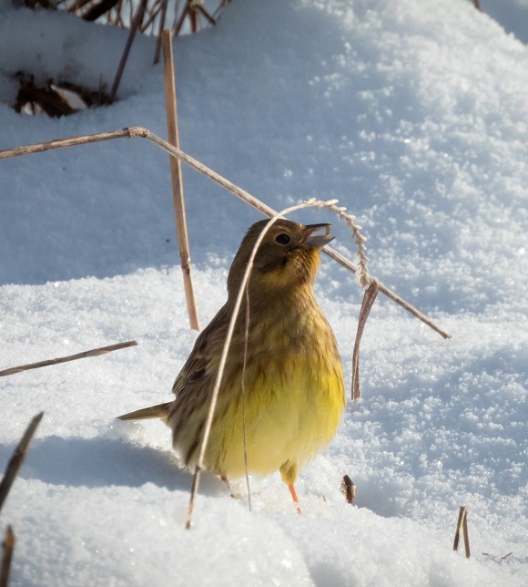 As 2024 draws to a close, our heartfelt best wishes for Christma